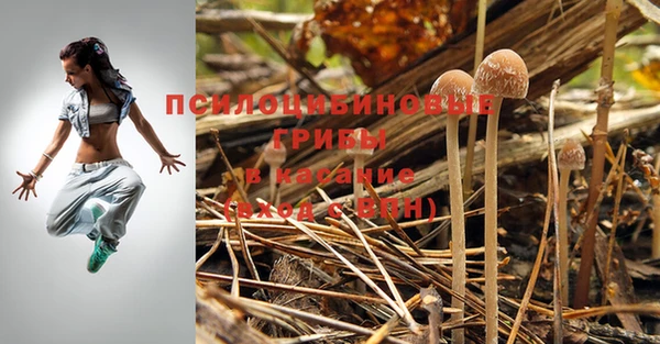 Альфа ПВП Остров