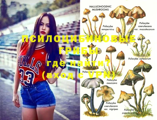 а пвп мука Бородино