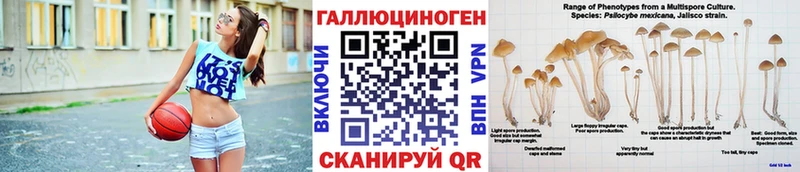 Галлюциногенные грибы GOLDEN TEACHER Медногорск