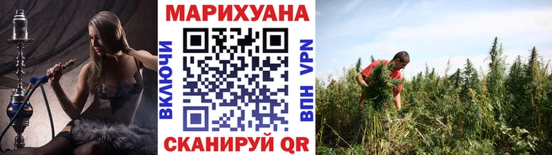 МАРИХУАНА семена Медногорск